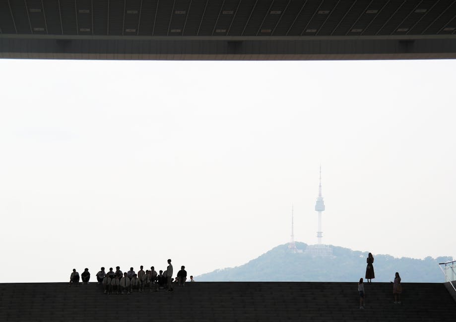 서울대면접